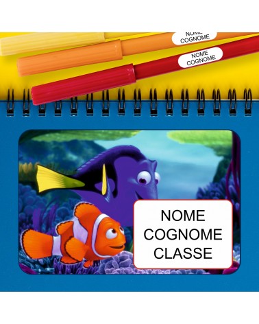 Alla ricerca di Nemo