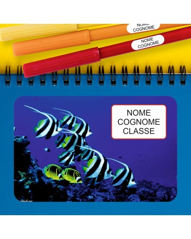 ETICHETTE ADESIVE SCUOLA PERSONALIZZATE CON NOME, COGNOME E/O