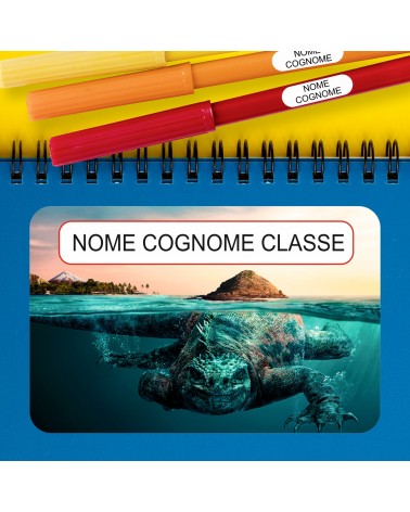 ETICHETTE ADESIVE SCUOLA PERSONALIZZATE CON NOME, COGNOME E/O