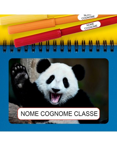 ETICHETTE ADESIVE SCUOLA PERSONALIZZATE CON NOME, COGNOME E/O